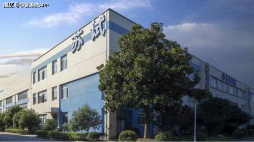 蘇試試驗(yàn) 深耕華為產(chǎn)品線，以專(zhuān)業(yè)軟件開(kāi)發(fā)服務(wù)賦能客戶創(chuàng)新